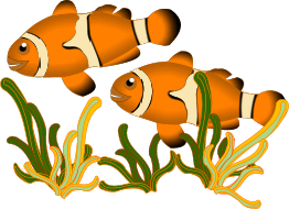 Fischen