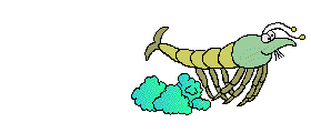 Fischen bilder