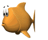 Fischen bilder