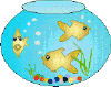 Fischen bilder