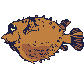 Fischen bilder