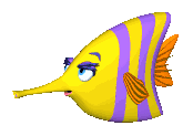Fischen bilder