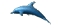 Fischen bilder