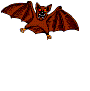Fledermaus bilder