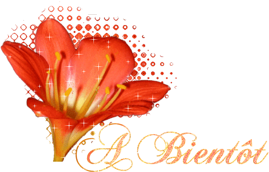 Franzosische texte bilder