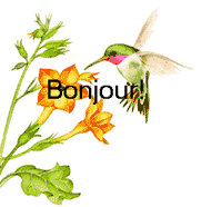 Franzosische texte bilder