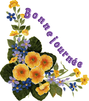 Franzosische texte bilder
