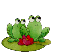Frosche bilder