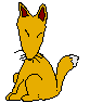 Fuchs bilder