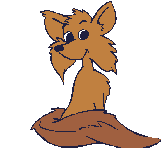 Fuchs bilder