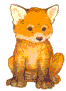 Fuchs bilder