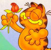 Garfield bilder