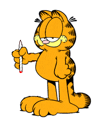 Garfield bilder