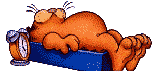 Garfield bilder