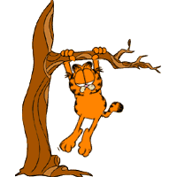 Garfield bilder