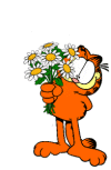 Garfield bilder