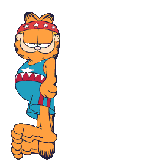Garfield bilder