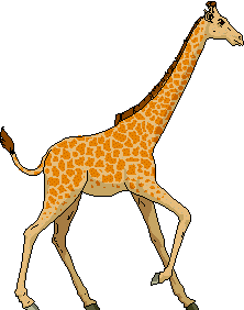 Giraffen