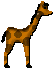 Giraffen bilder