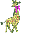 Giraffen bilder