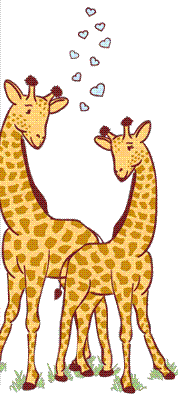 Giraffen