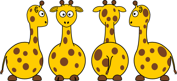 Giraffen bilder