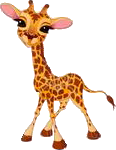 Giraffen