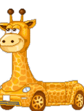 Giraffen bilder