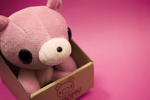 Gloomy bear bilder