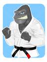 Gorilla bilder