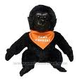 Gorilla bilder