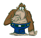 Gorilla bilder