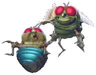 Grosse krabbeln bilder