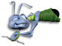 Grosse krabbeln bilder