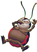 Grosse krabbeln bilder