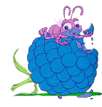 Grosse krabbeln bilder