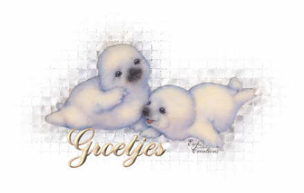Grusse bilder