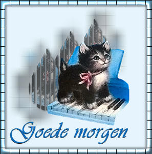 Gute bilder