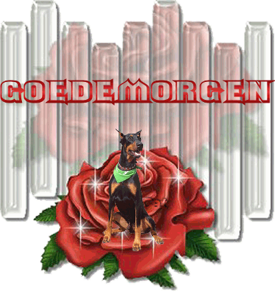 Gute bilder