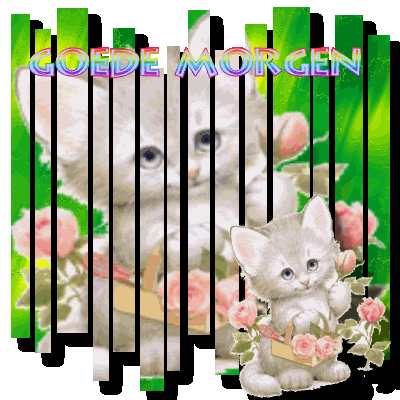 Gute bilder