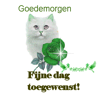 Gute bilder