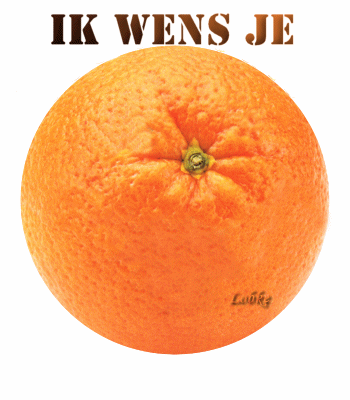 Gute bilder