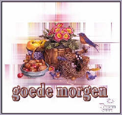 Gute bilder