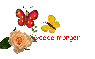 Guten morgen