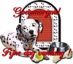 Guten morgen