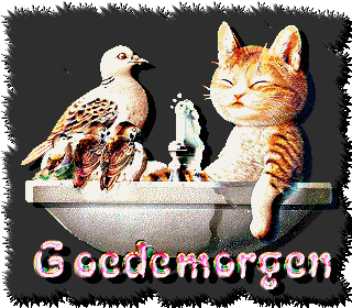 Guten morgen