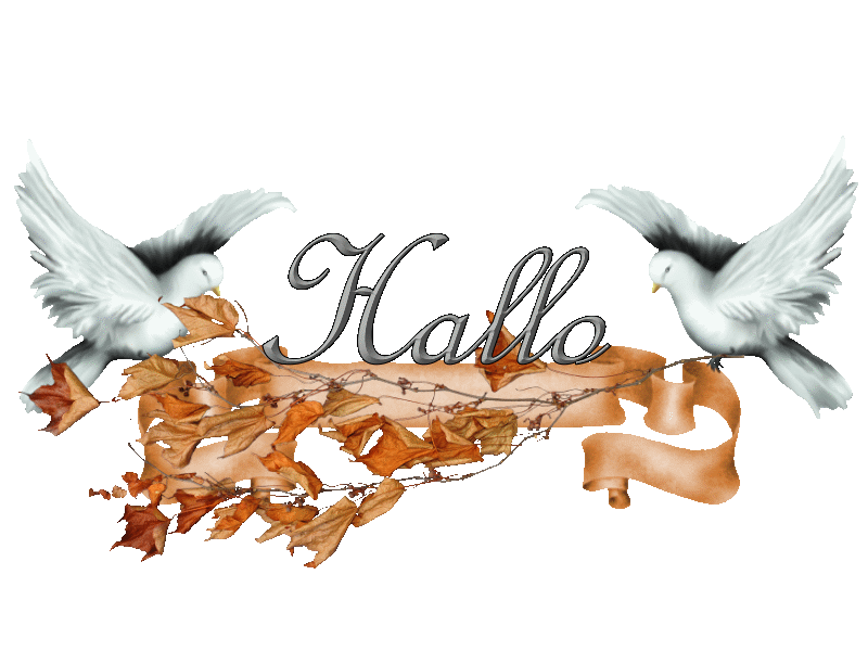 Hallo