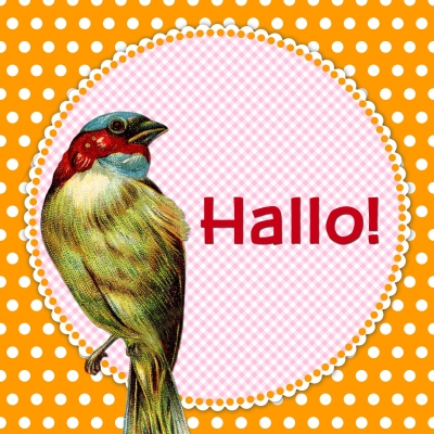 Hallo