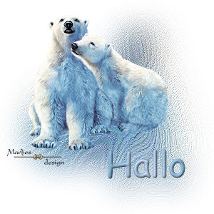 Hallo