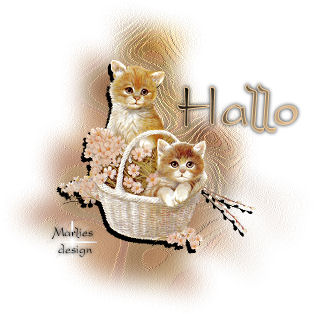 Hallo